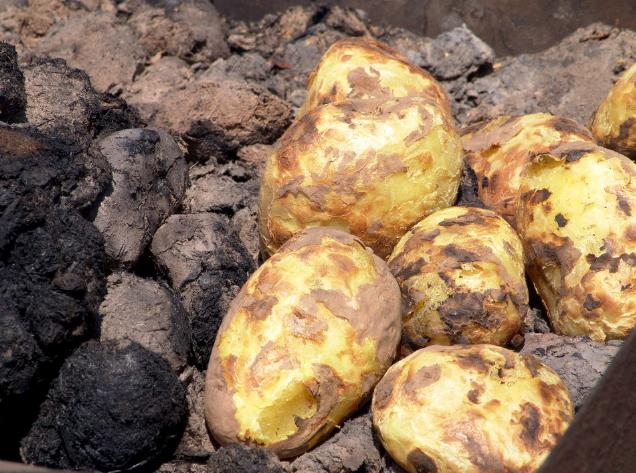 美食娱乐天地主持人：带你轻松探索美食世界，体验快乐美食之旅